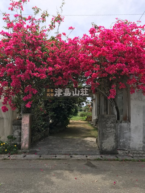 宮古島農家民宿津嘉山莊