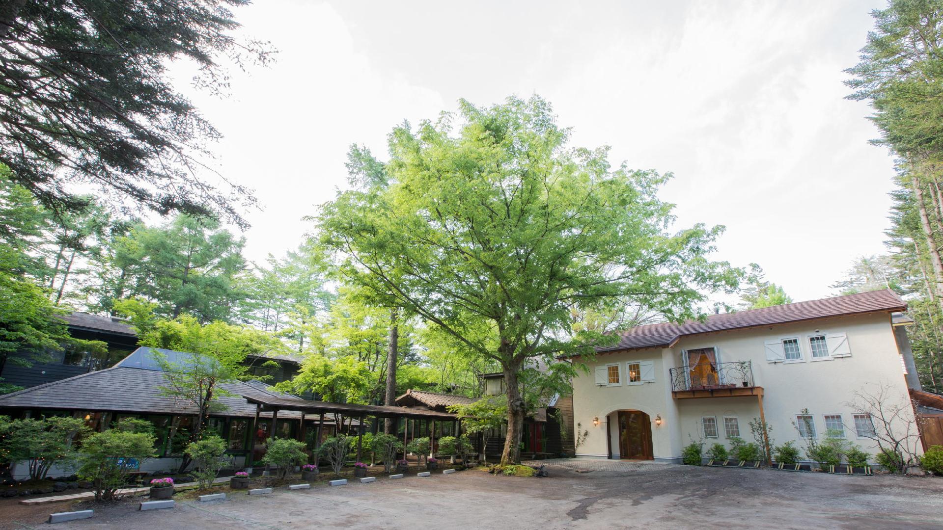 Auberge de Primavera