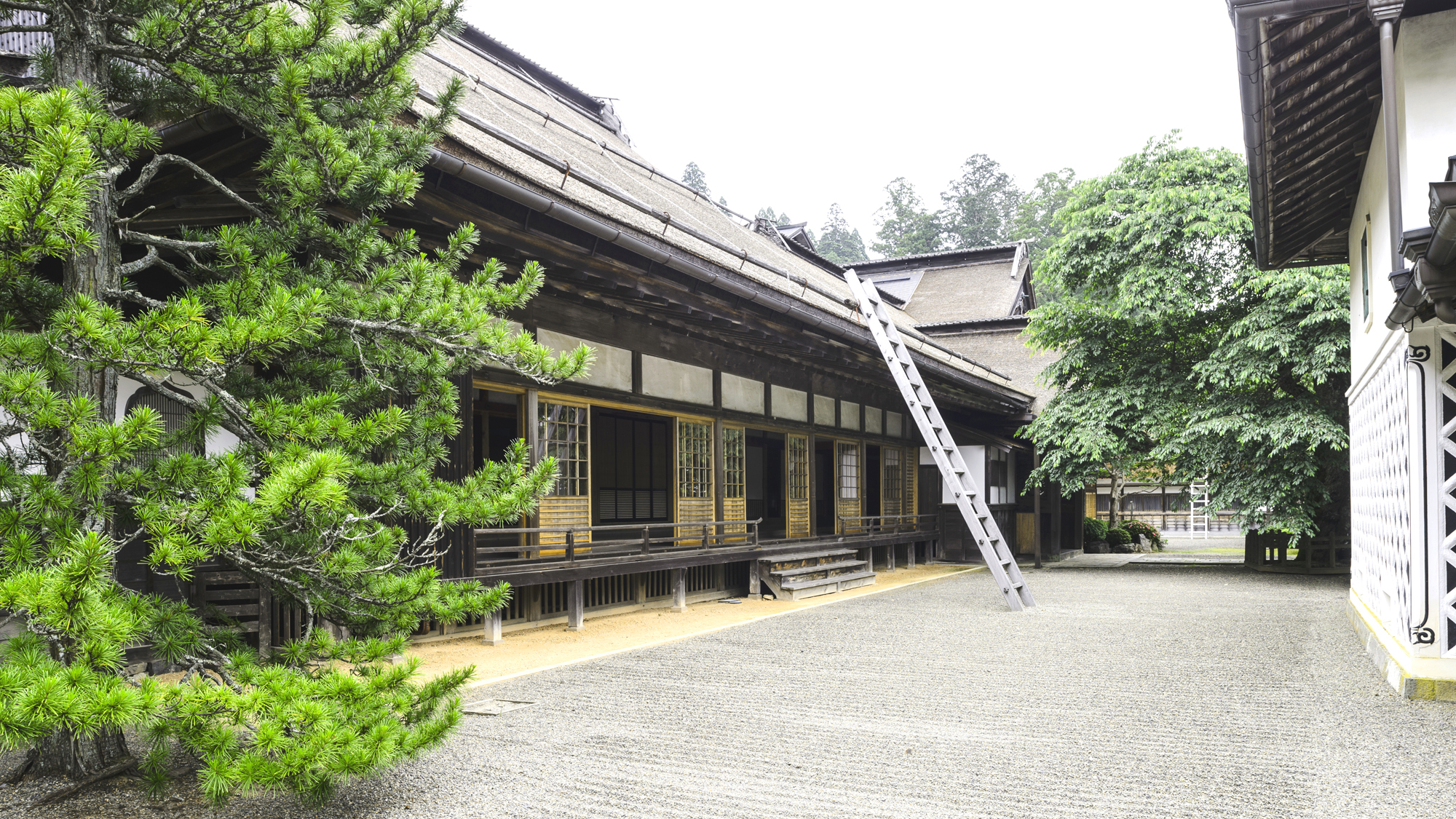 Shojoshin-in Temple