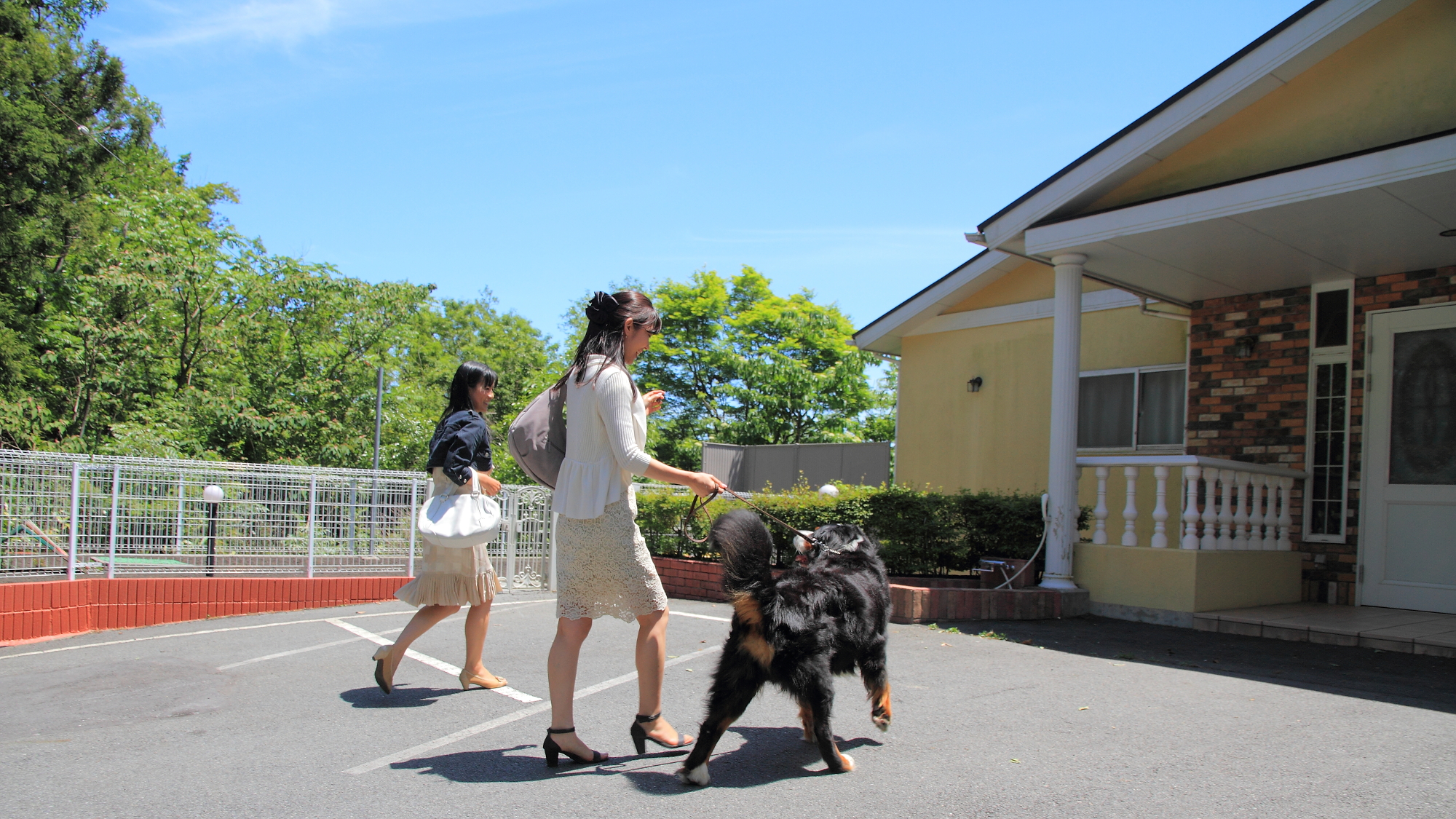 動物　Premium 小型飯店