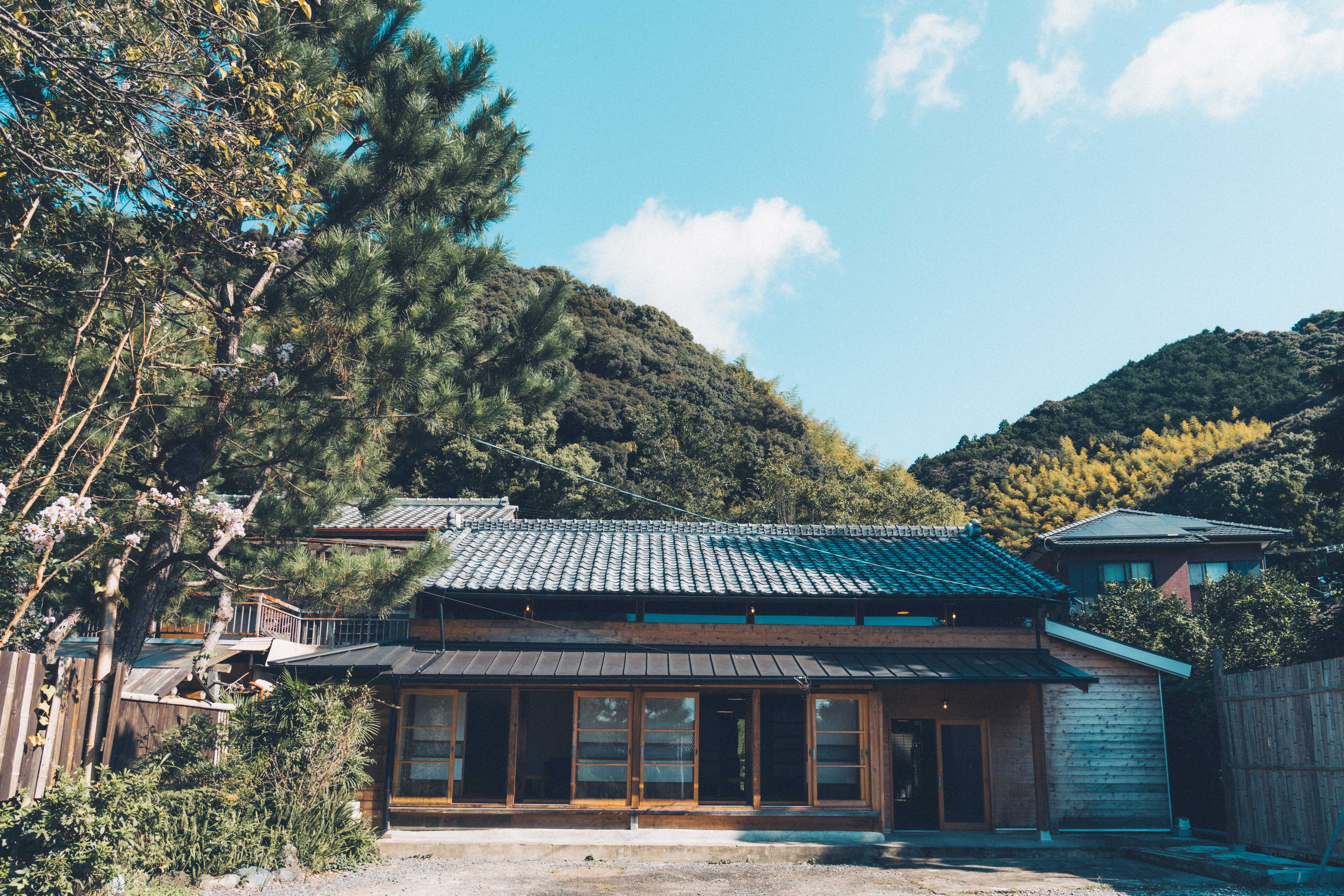 纺宿 藤