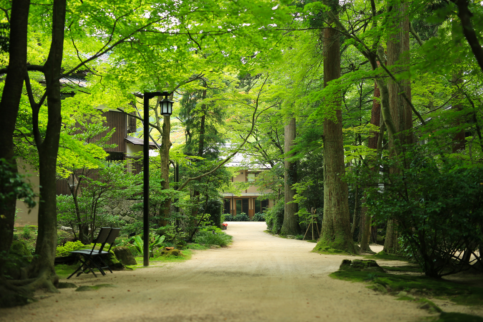 環翠樓日式旅館