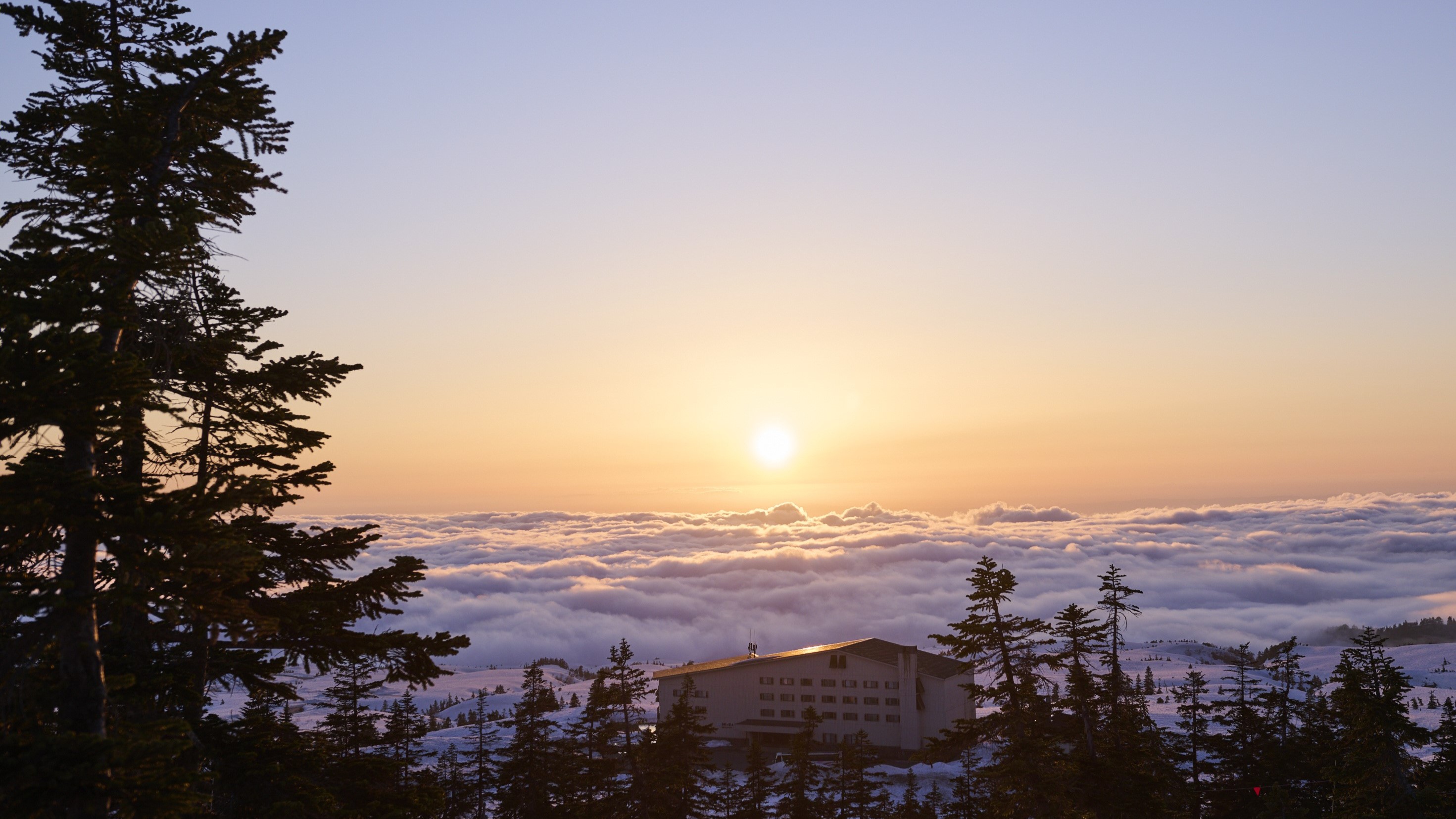 立山黑部阿爾卑斯山脈路線彌陀原飯店