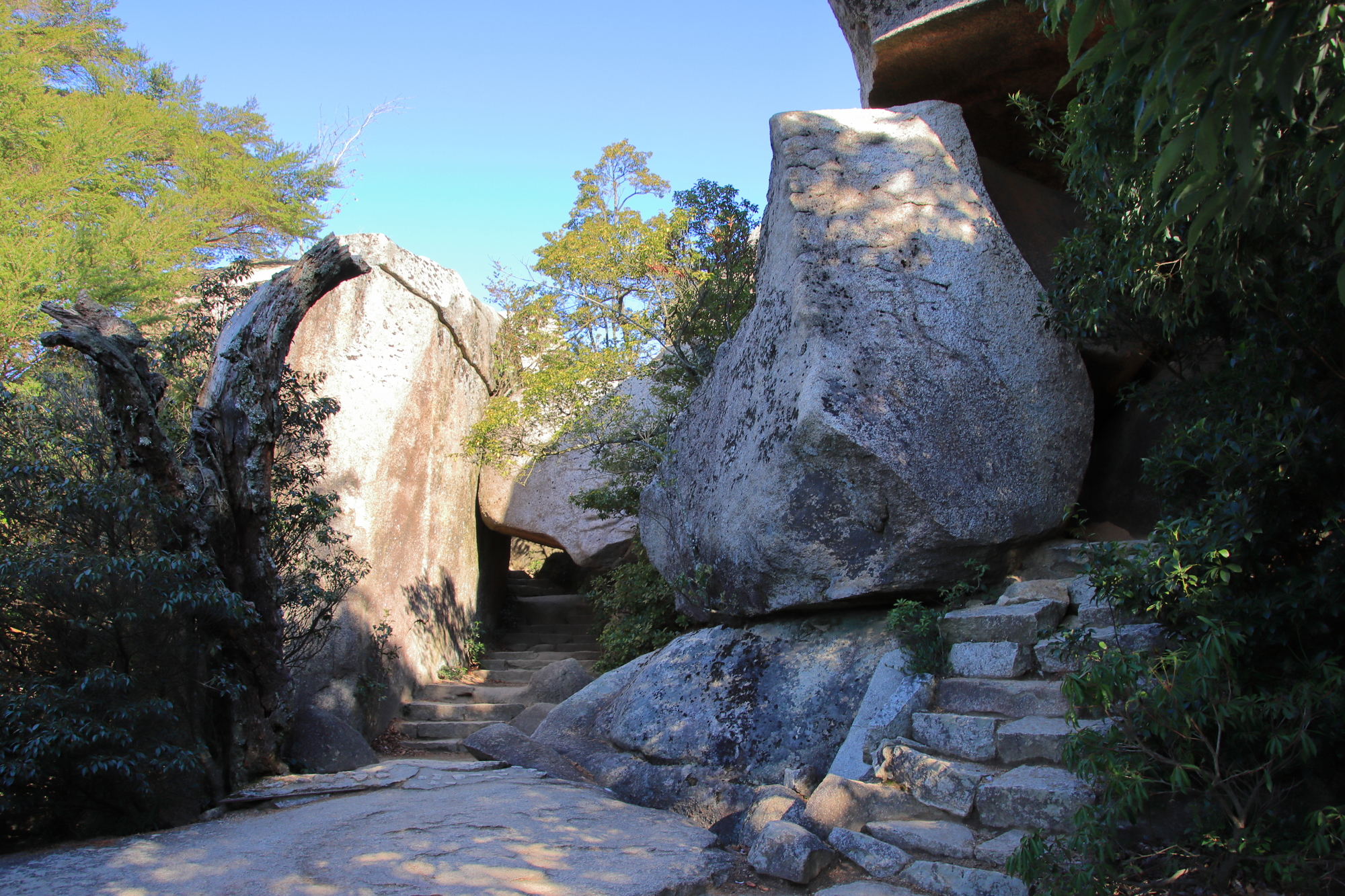 宫岛景观环球度假村