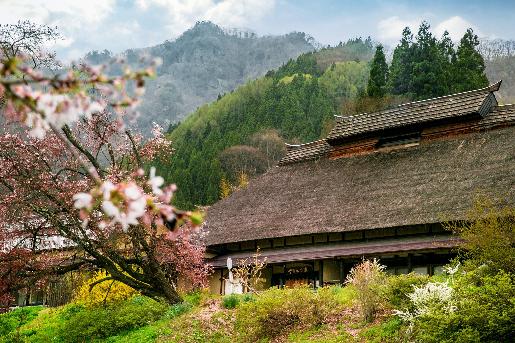 Yakimochiya
