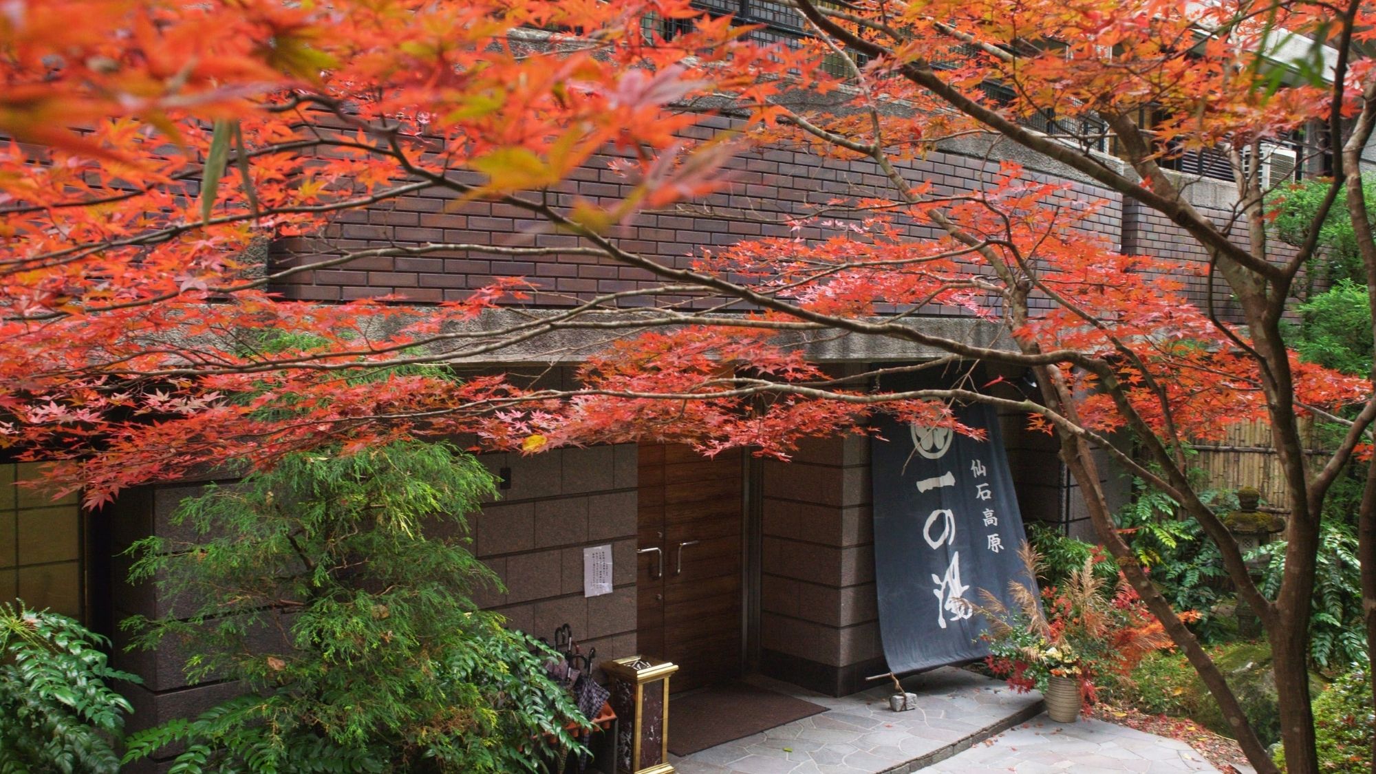 仙石高原大箱根一の湯