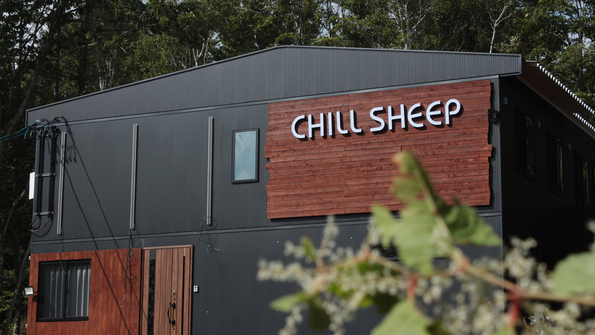Chill Sheep