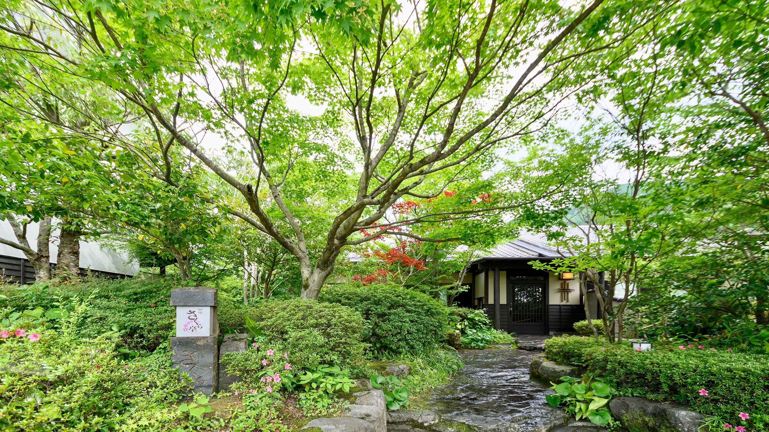 由布院温泉樱花亭御宿