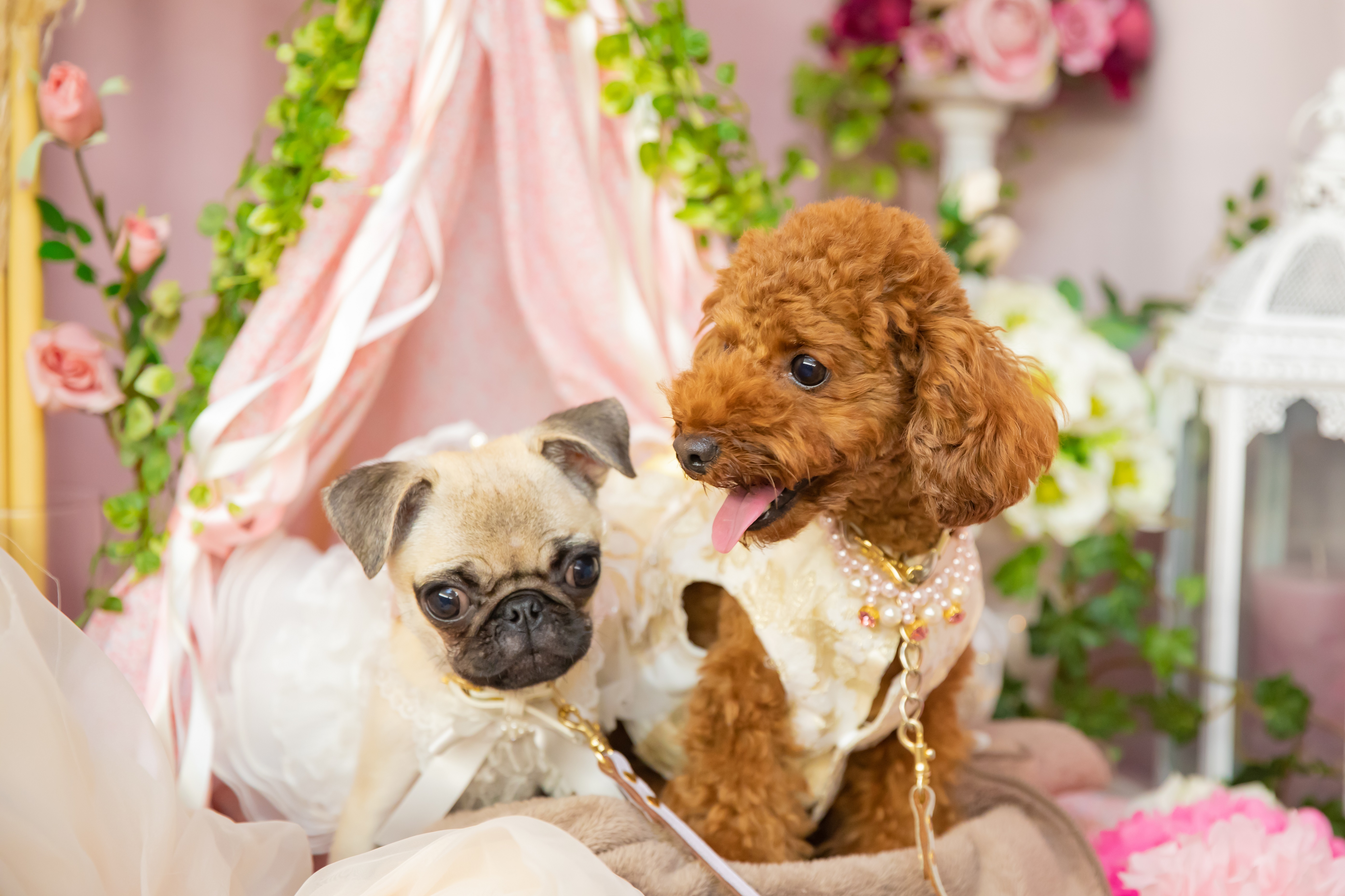 湘南鎌倉クリスタルホテル