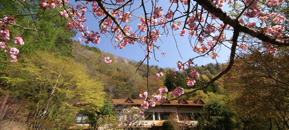 蘆安溫泉　旅館　白雲莊（山梨縣）