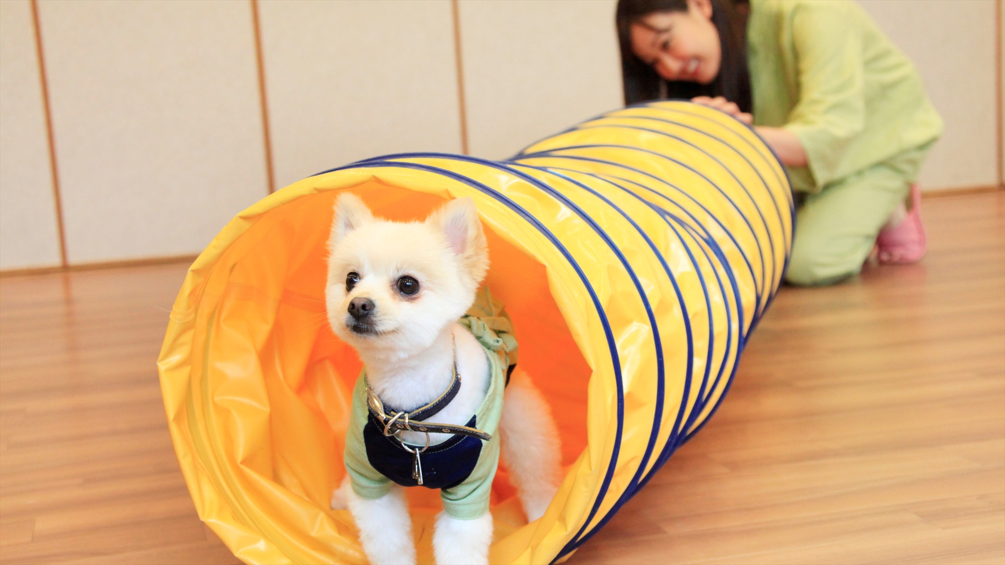 伊豆高原愛犬友善飯店