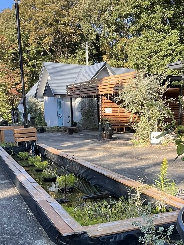 Gran Cottage Bengal Forest