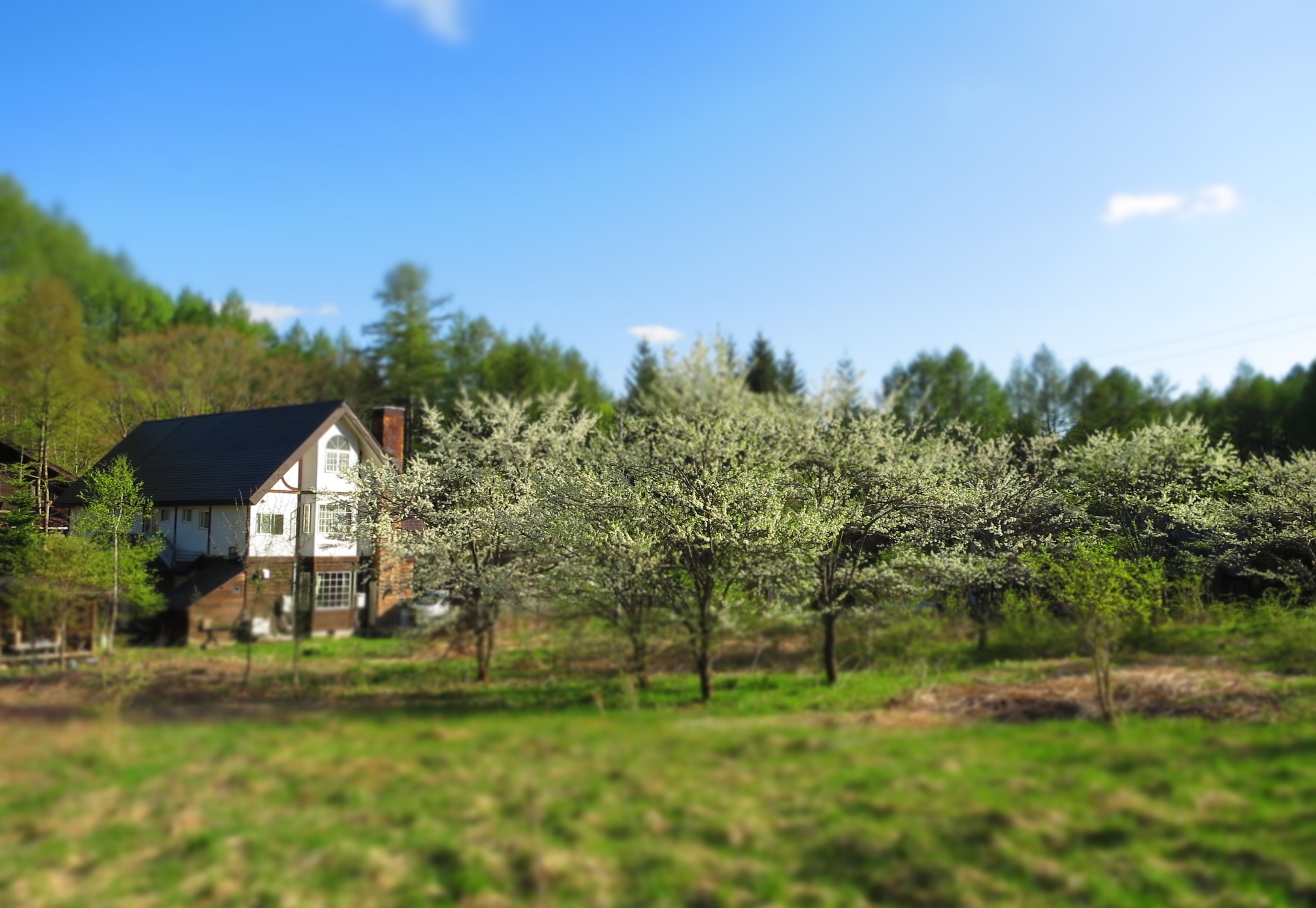 Norikura Kogen Pension Winds