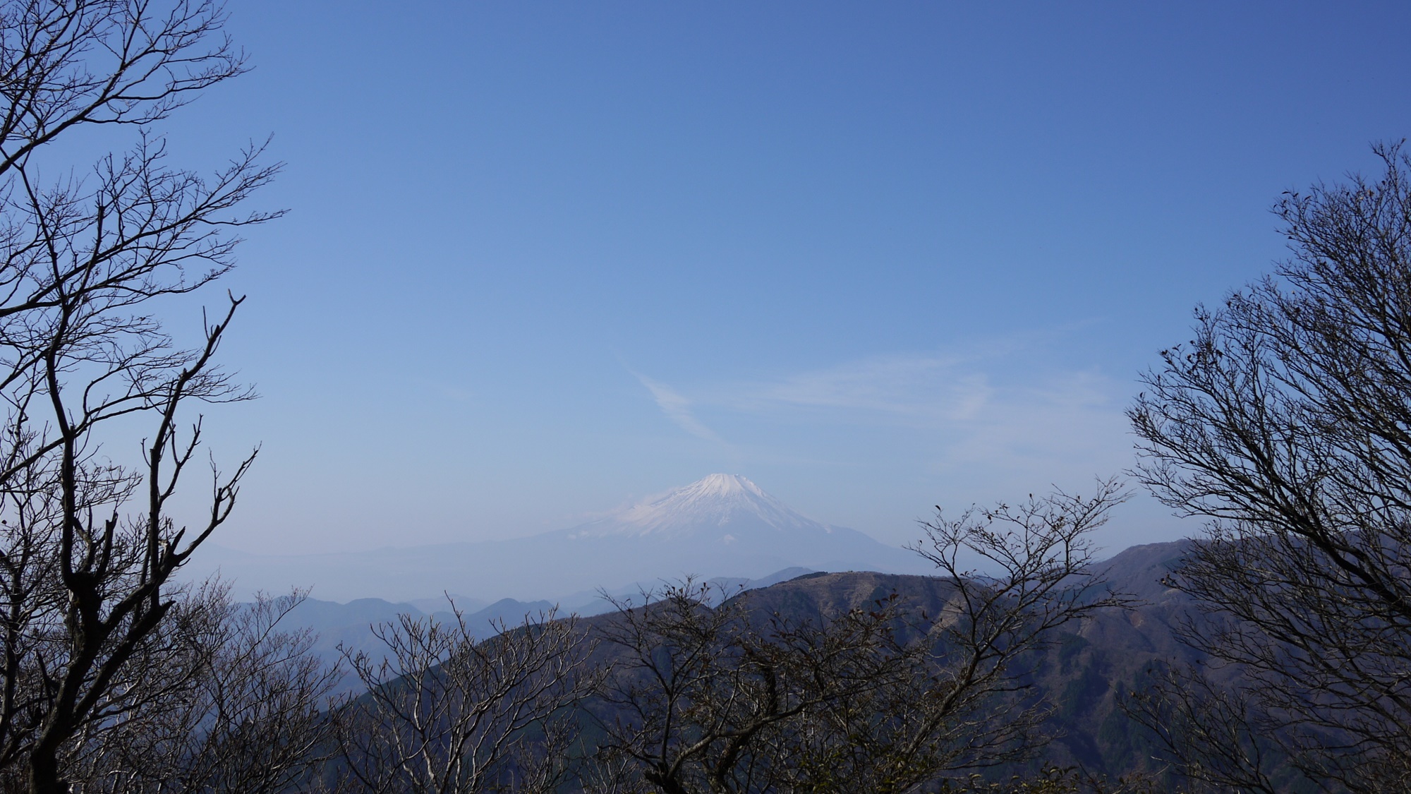 山荘だいとう