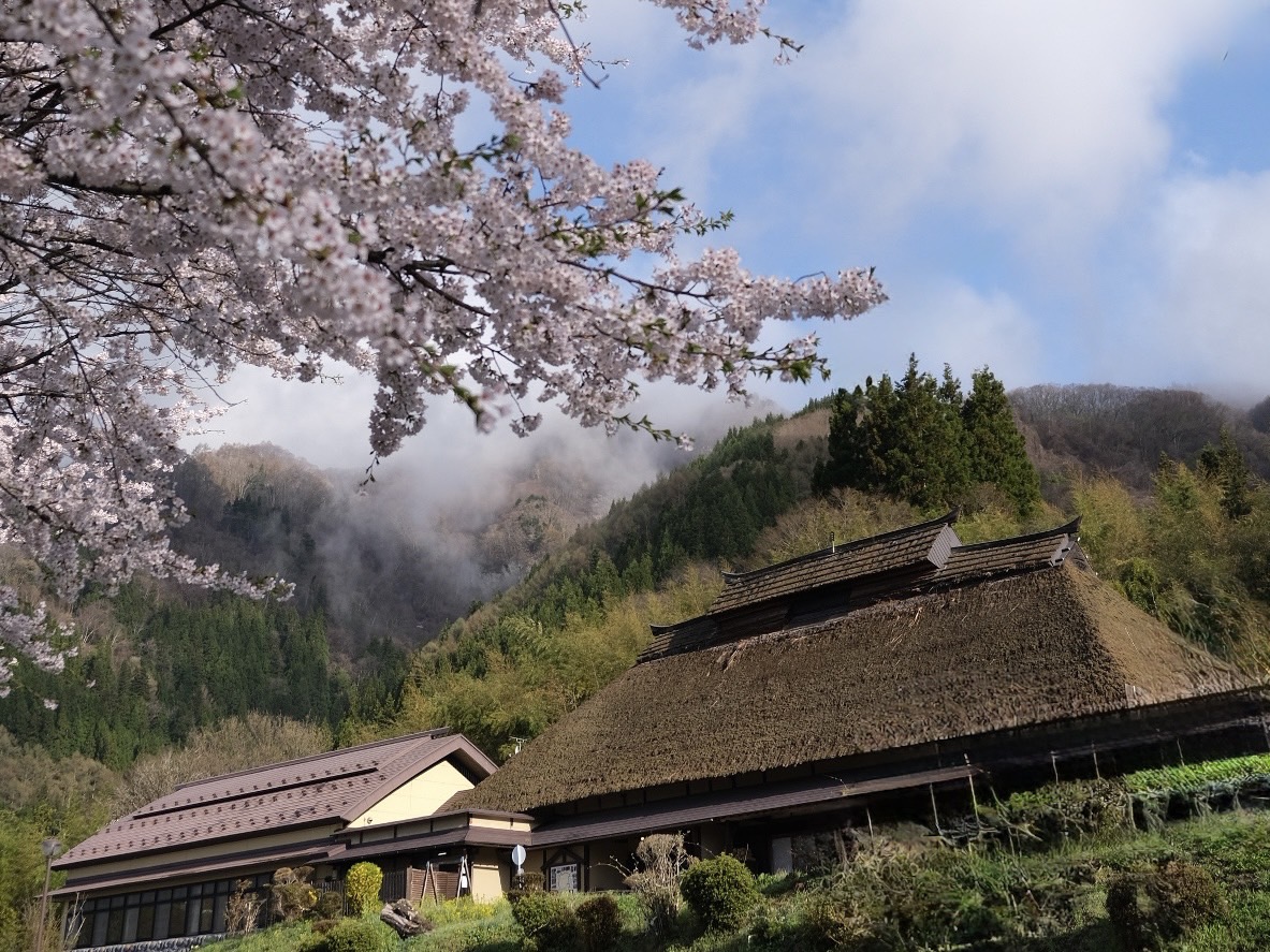 Yakimochiya