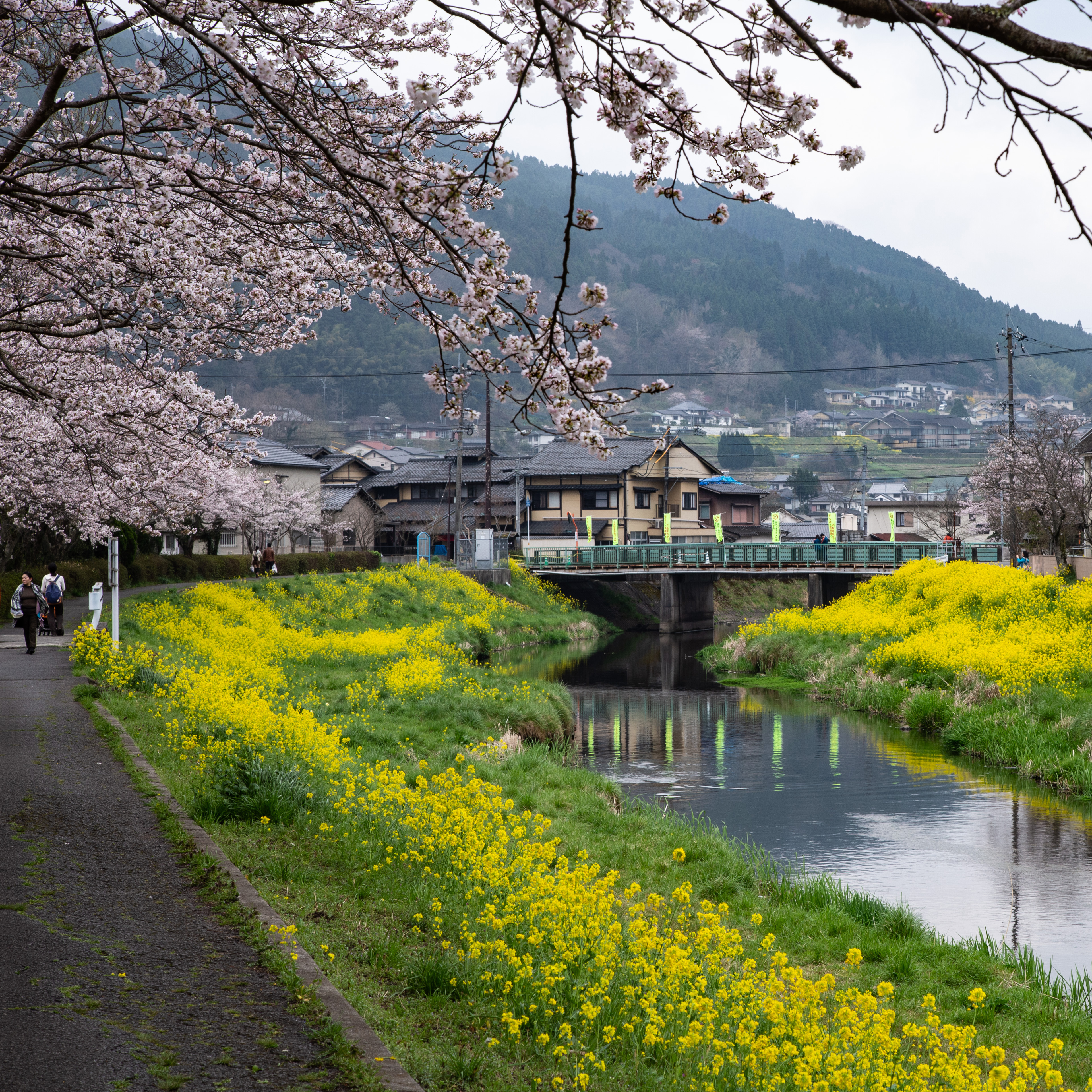 汤布院灯之宿温泉旅馆