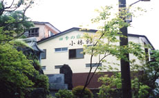 Nasu Onsen Kobayashikan