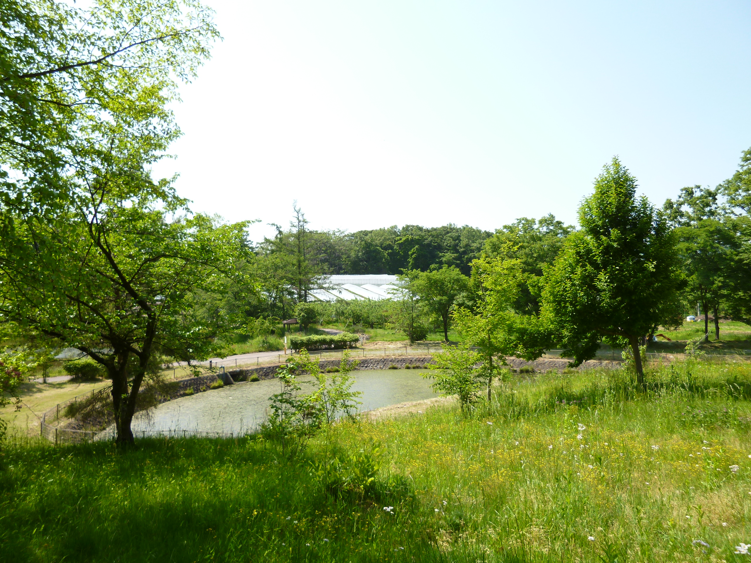 信州中野OYO旅游客栈