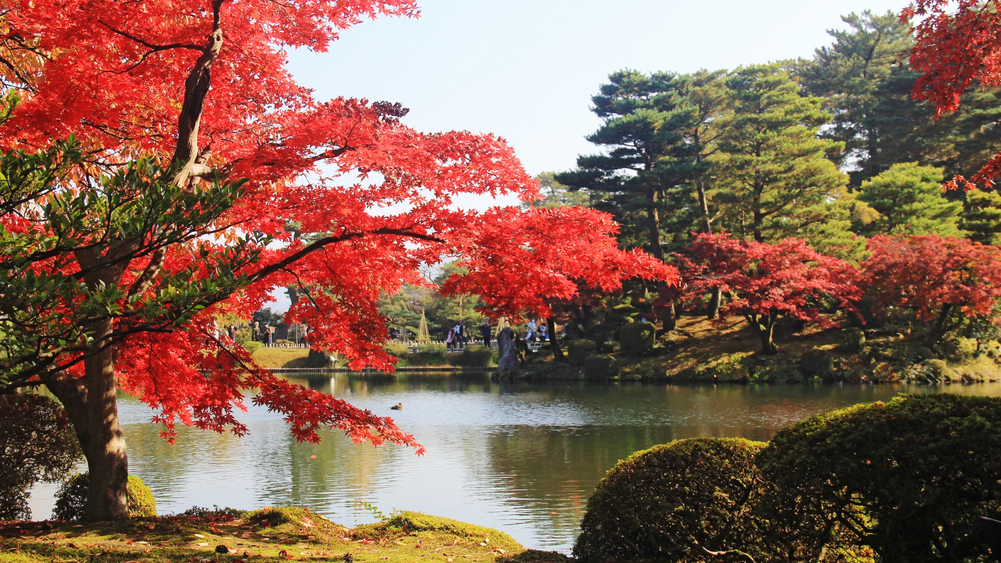 Japanese Auberge Yamano'o Bettei Ryokusone