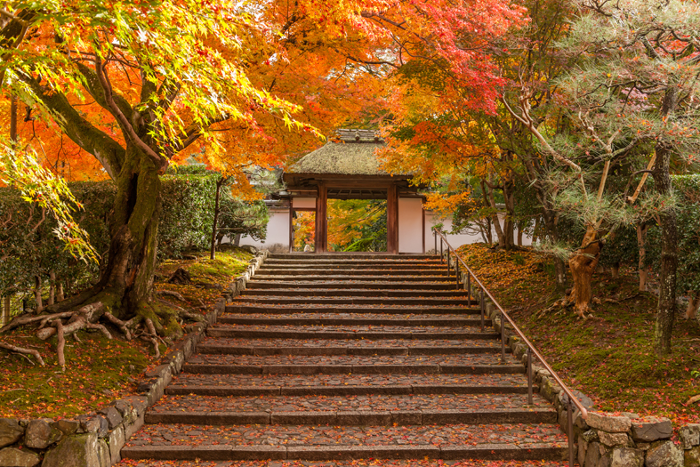 Kyoto Stay SAKURA 니조성 니시 I