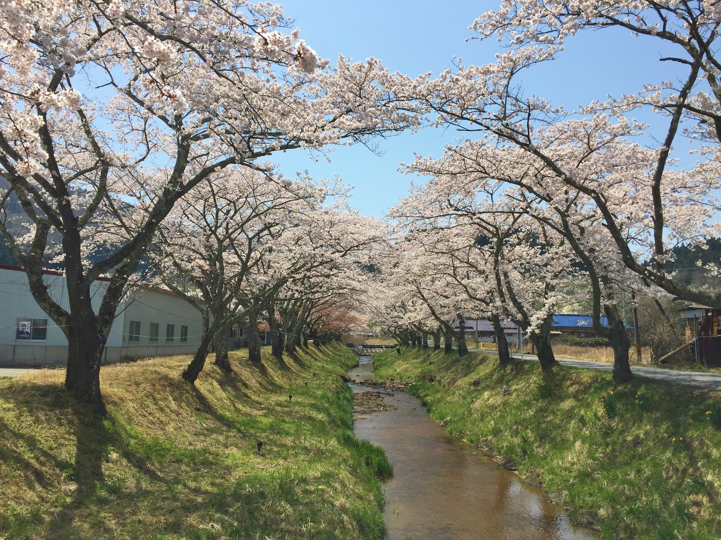 湯あみの宿　ぬまくら