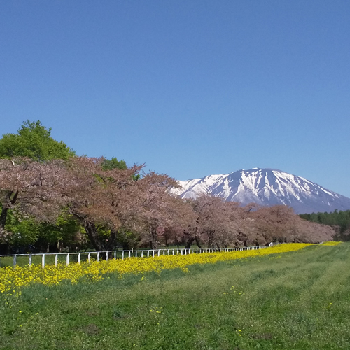 盛冈系温泉四季亭