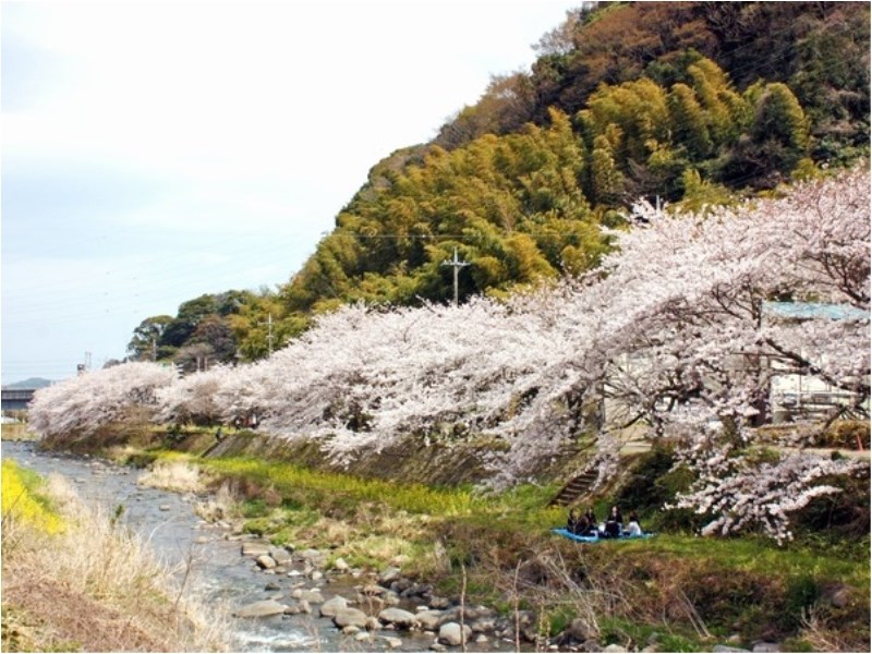 Forest Resort Yunosato Sugina