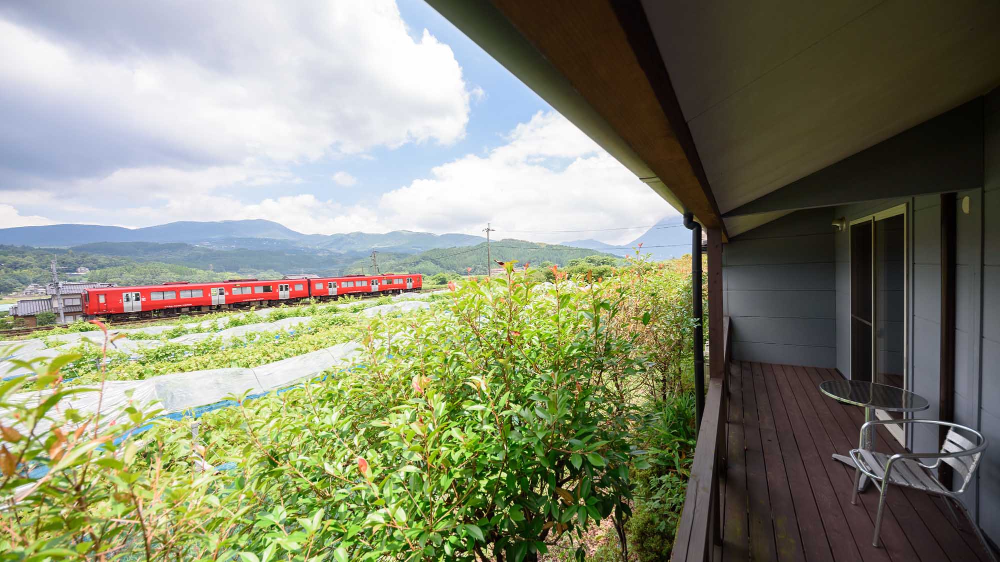 由布院 蔓荡苍