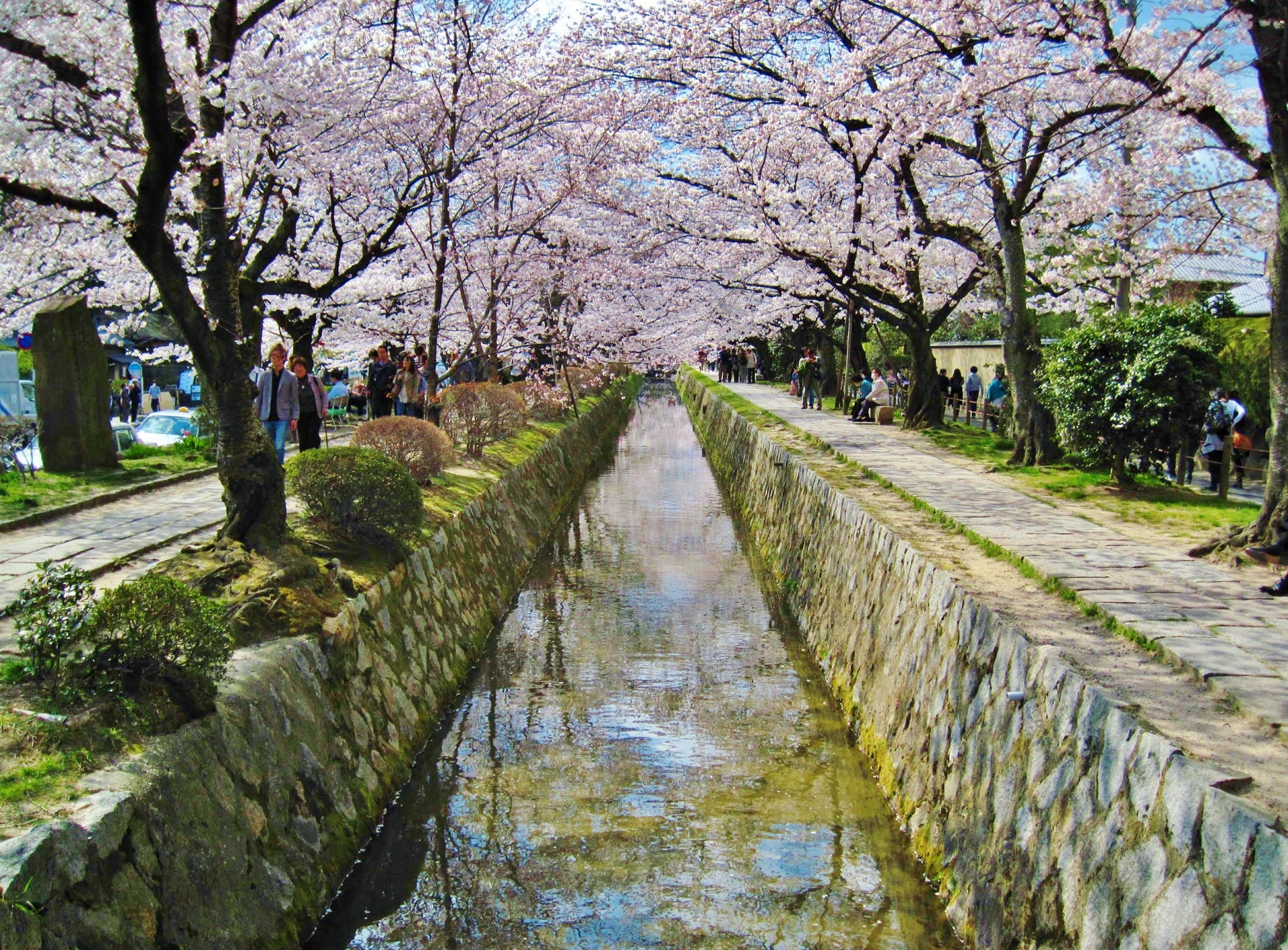 京都櫻花東本願寺 1 號館