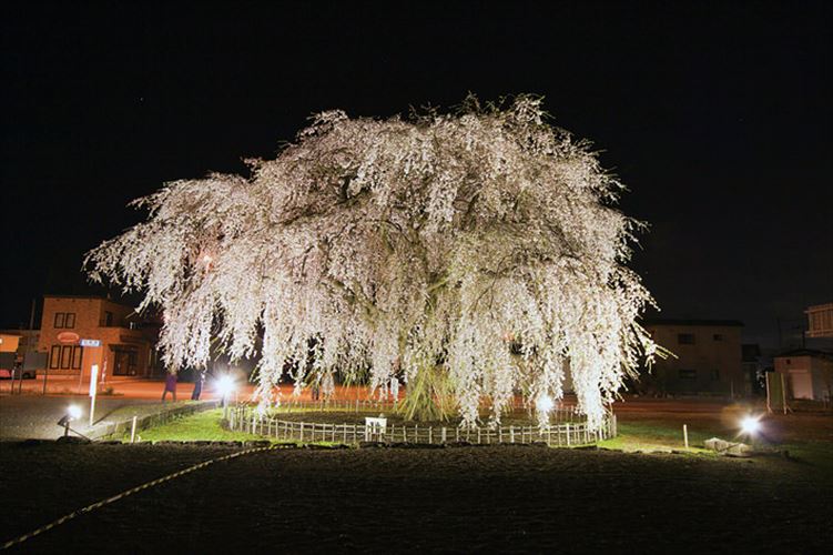 湯之川純和風旅館一乃松