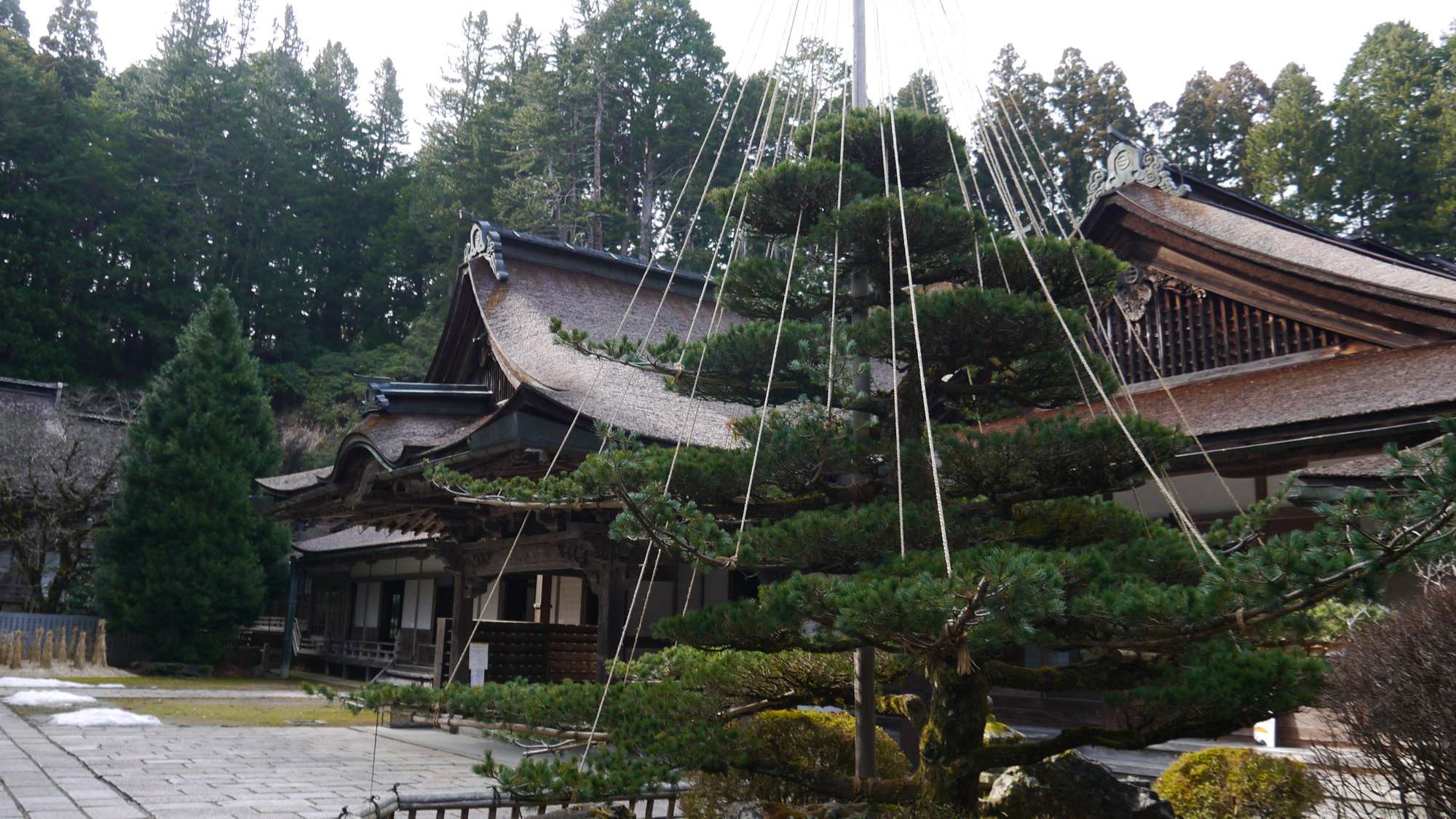 金剛三昧院日式旅館