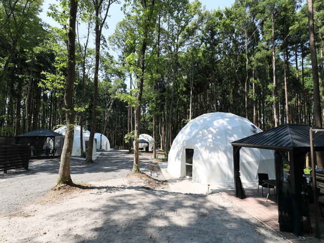 Y-Camp