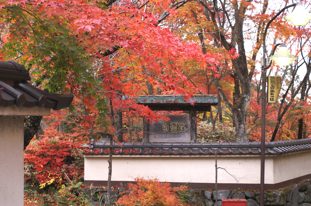 Ashiyasu Onsen Hakuunso (Yamanashi)