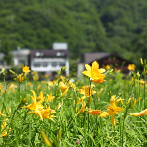 志賀高原白色溫泉溪谷之湯