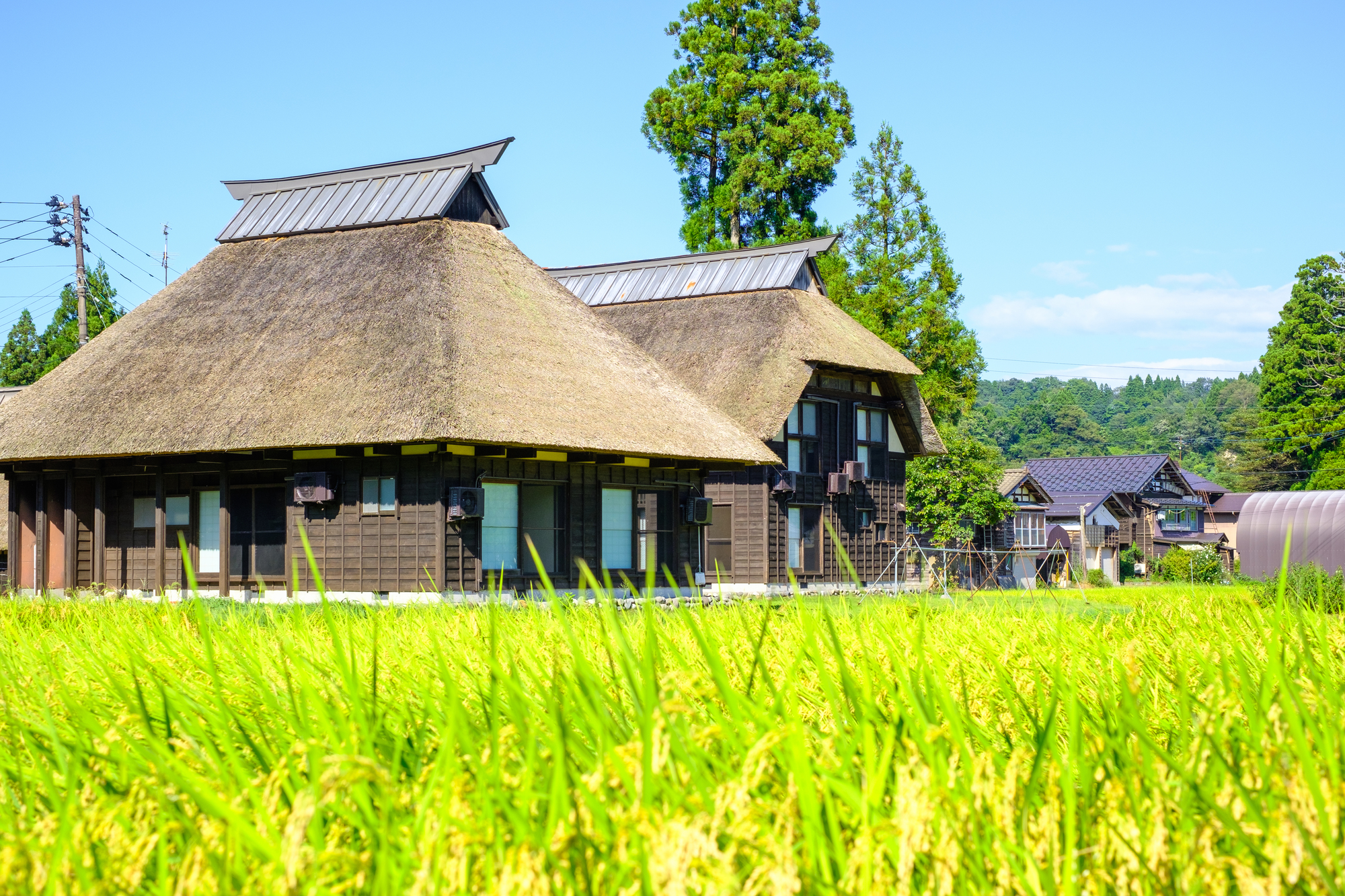 柏崎 OYO Chitose 商務旅館