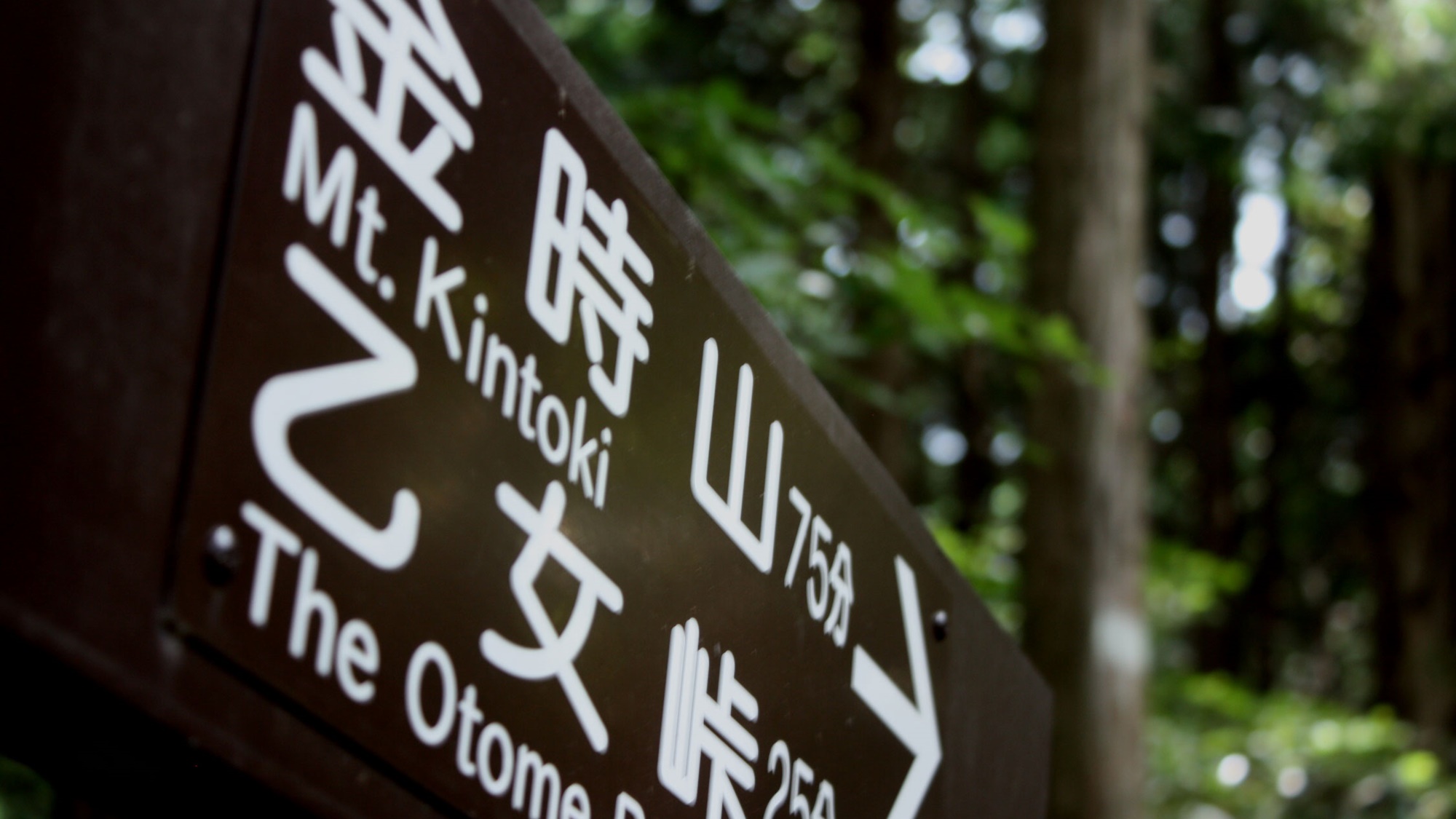 仙石原温泉　福島館