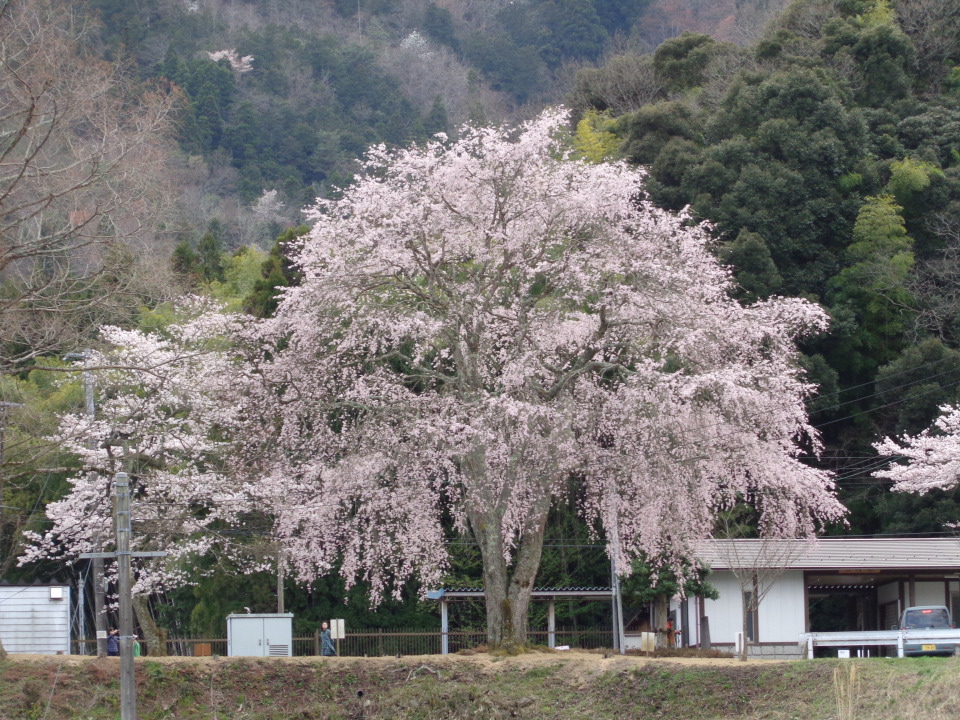 舞鹤Tsukasa酒店