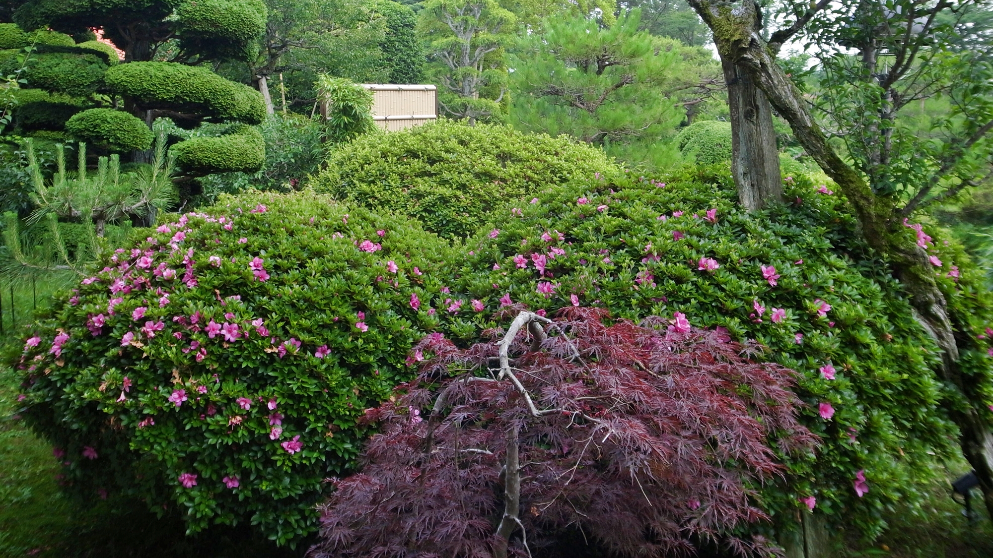 內原鑛泉湯泉莊