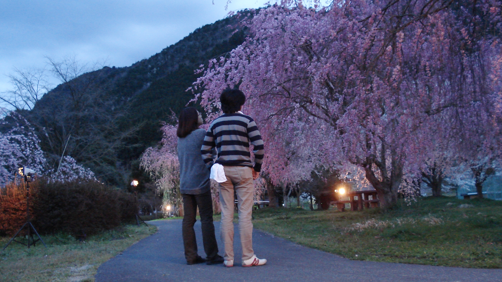 Minshuku Miyama