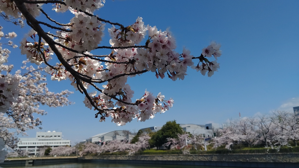 レフ関空泉佐野 by ベッセルホテルズ|REF関空泉佐野|サウナ付大浴場(関西空港)