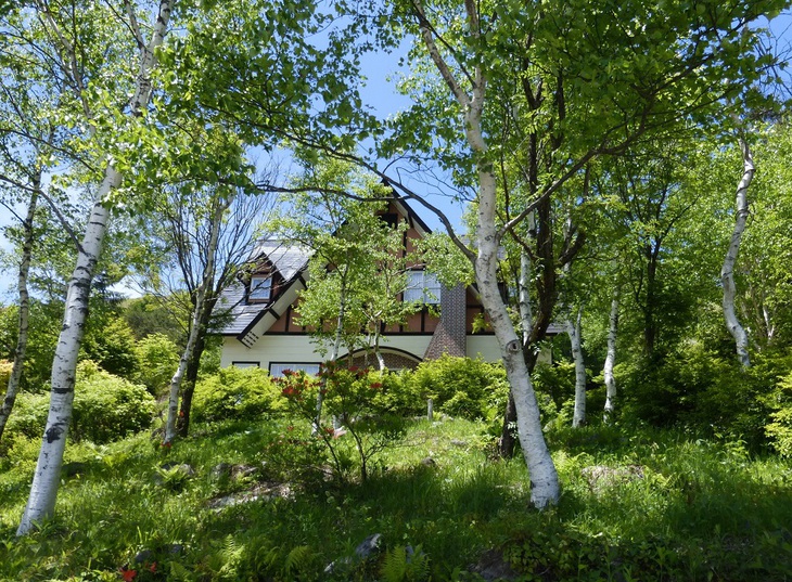 Resort Inn Rare Memory