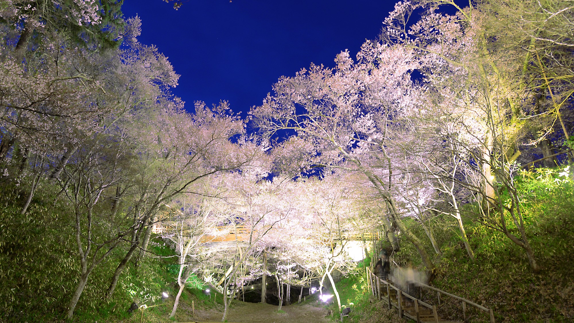 島田屋ホテル