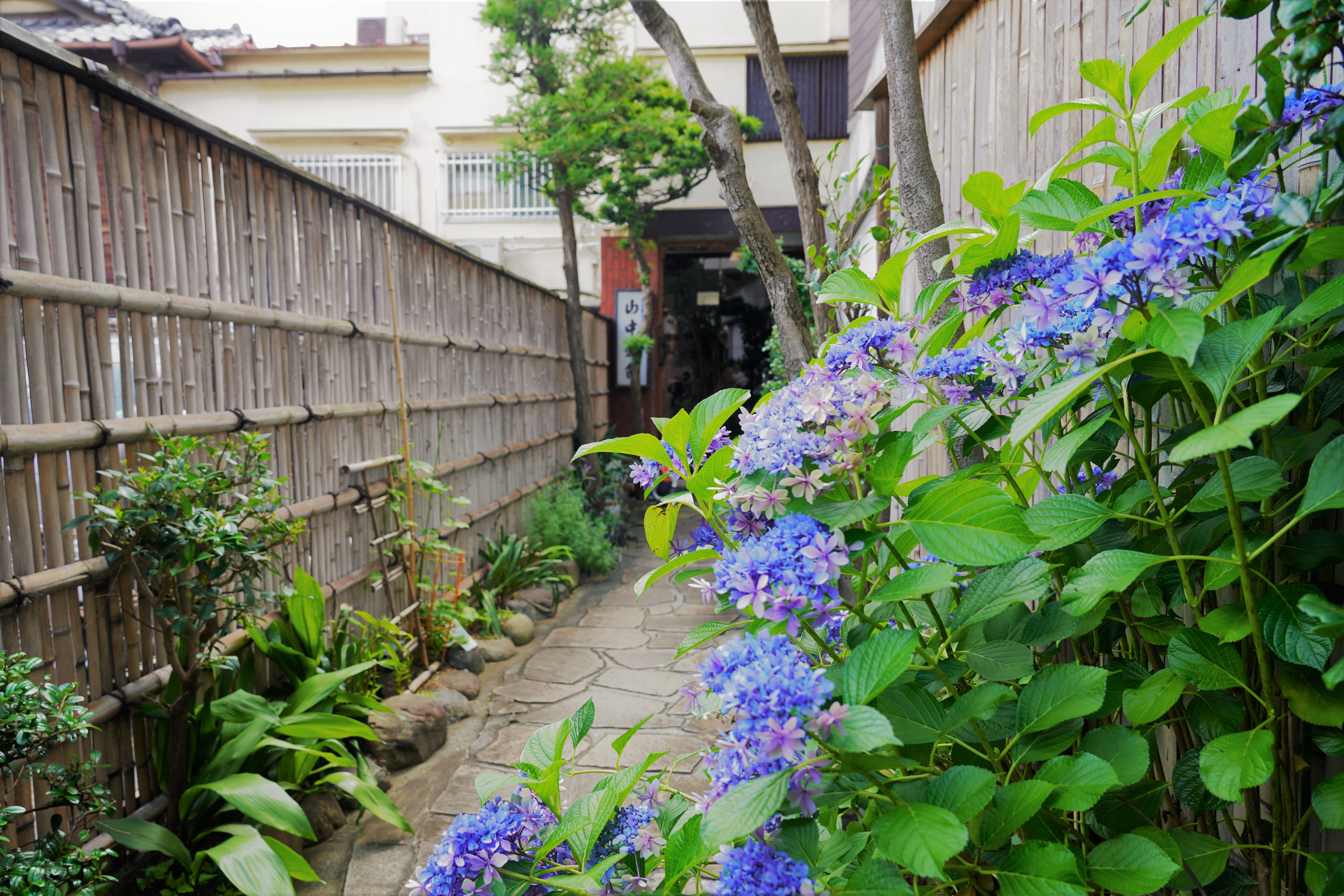 山中旅館