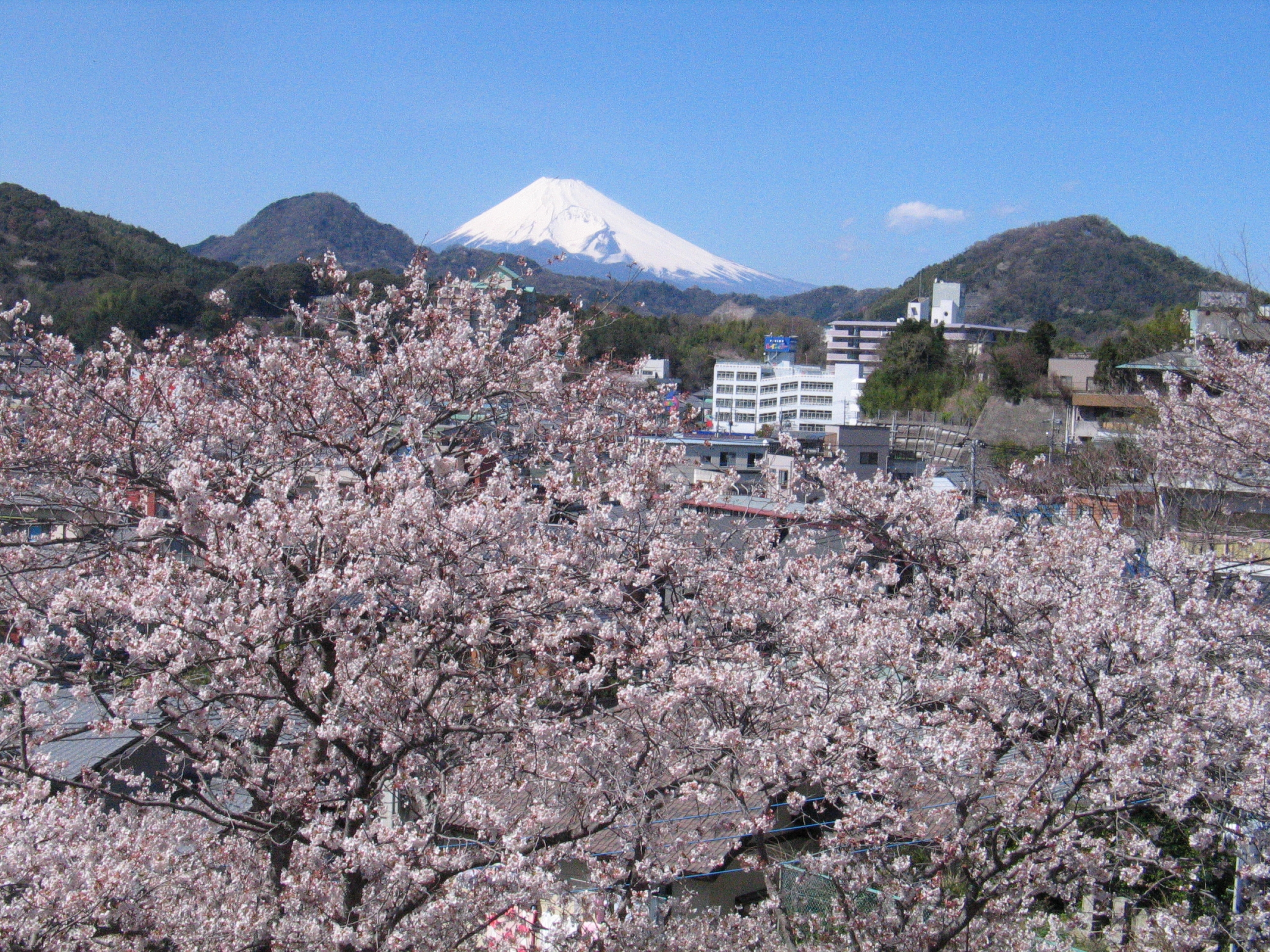 伊豆长冈温泉 龟屋惠庵日式旅馆