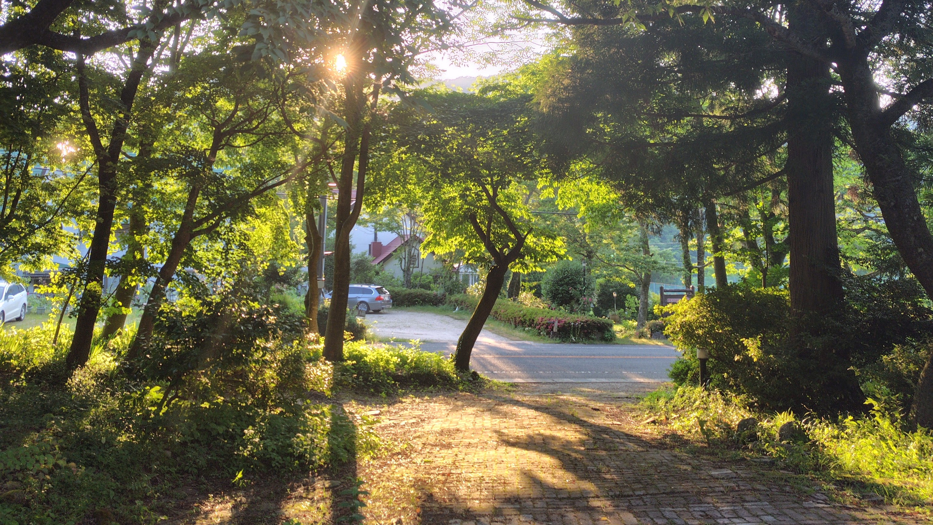 펜션 위켄드 시트론