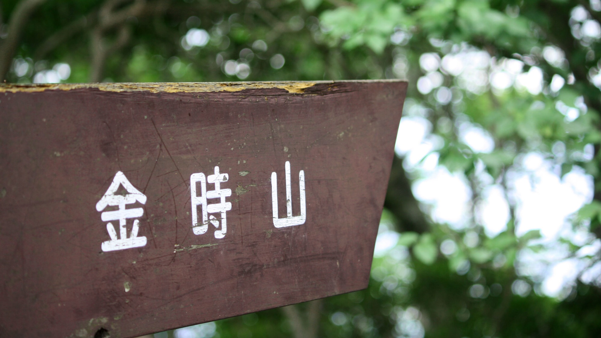 仙石原温泉　福島館