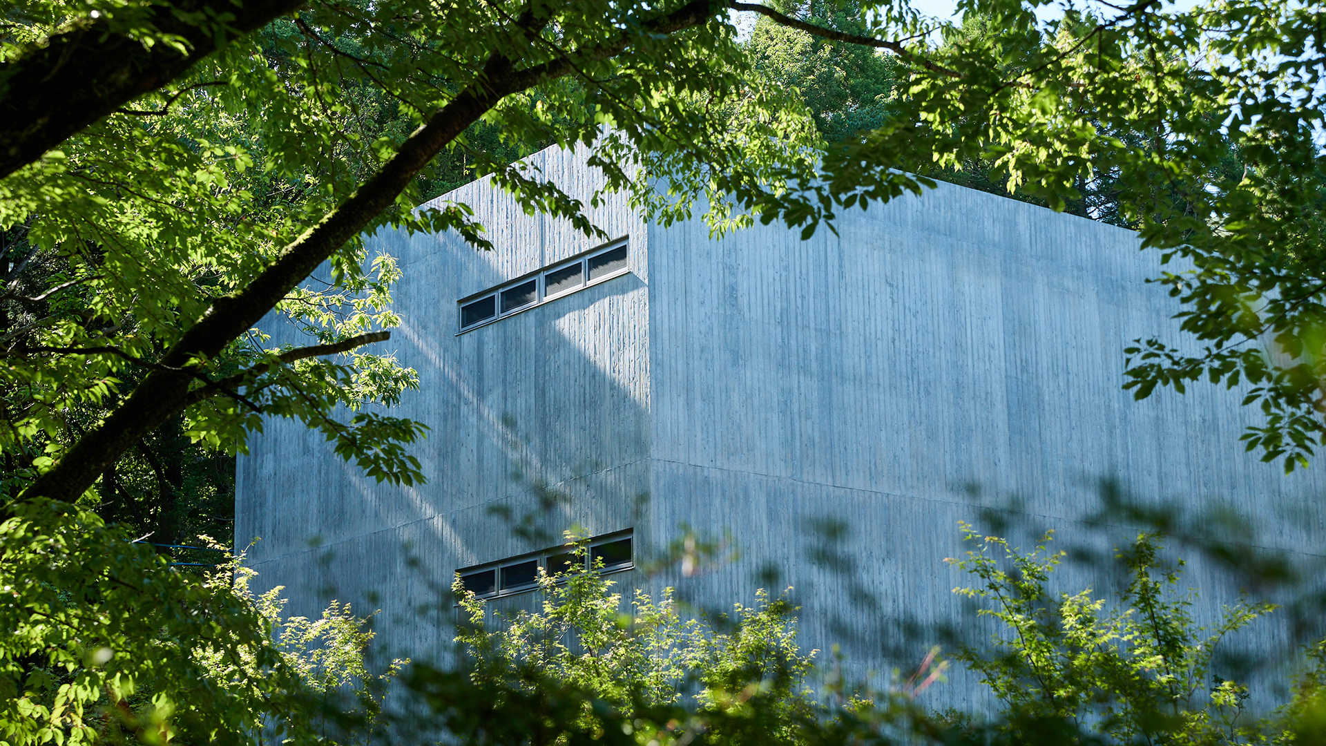 Yufuin Onsen Forest Inn Born