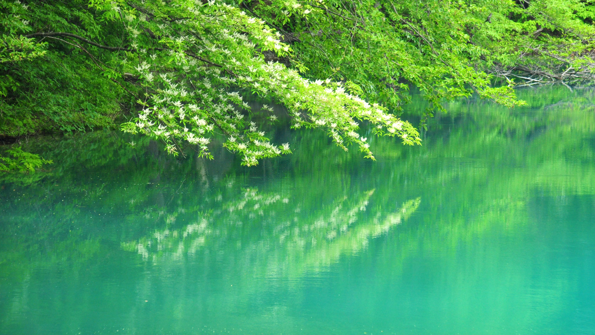 文布兰克旅馆