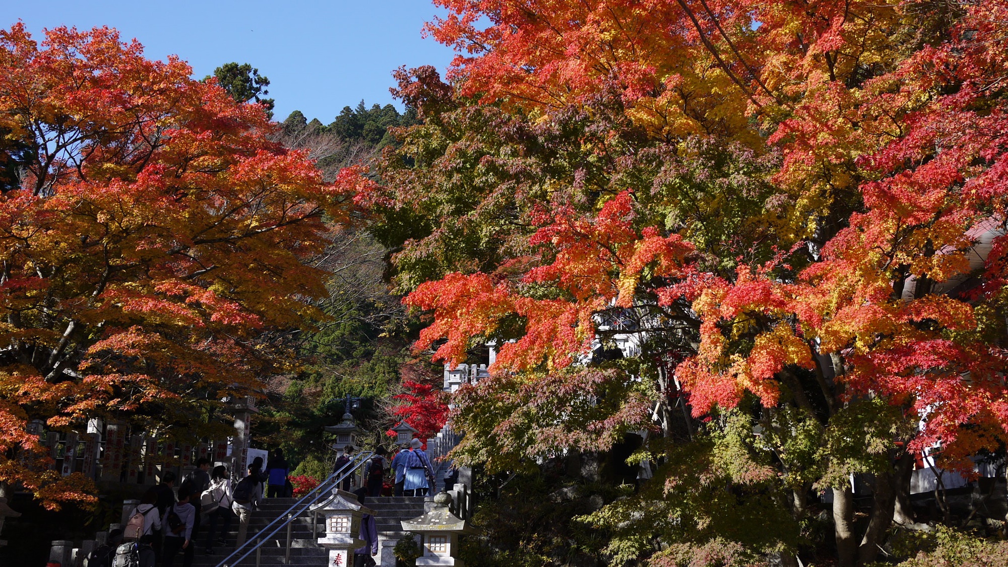 山荘だいとう