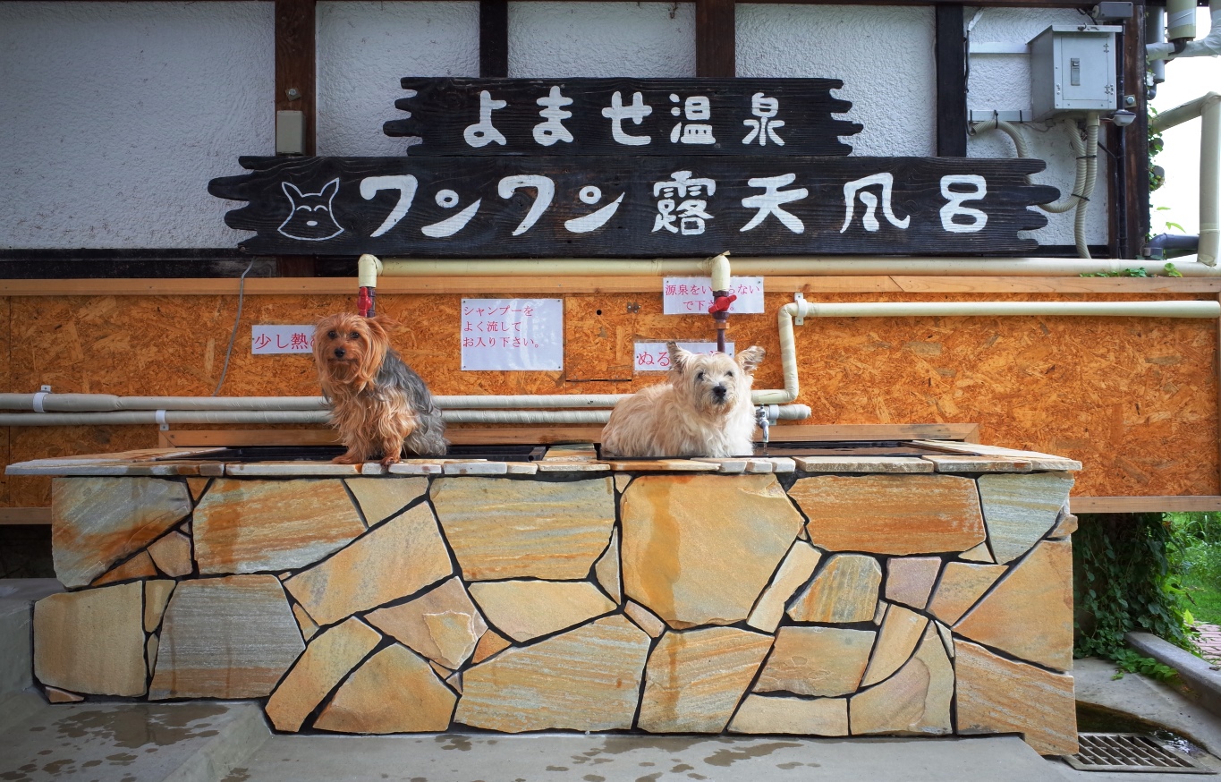 よませ温泉　プチホテル　パディントンハウス